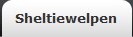Sheltiewelpen